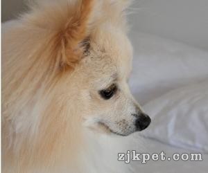 64400_201108030858591qOhg.jpg