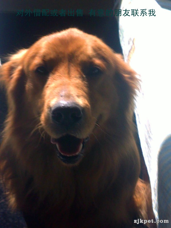 20110930139_副本.jpg