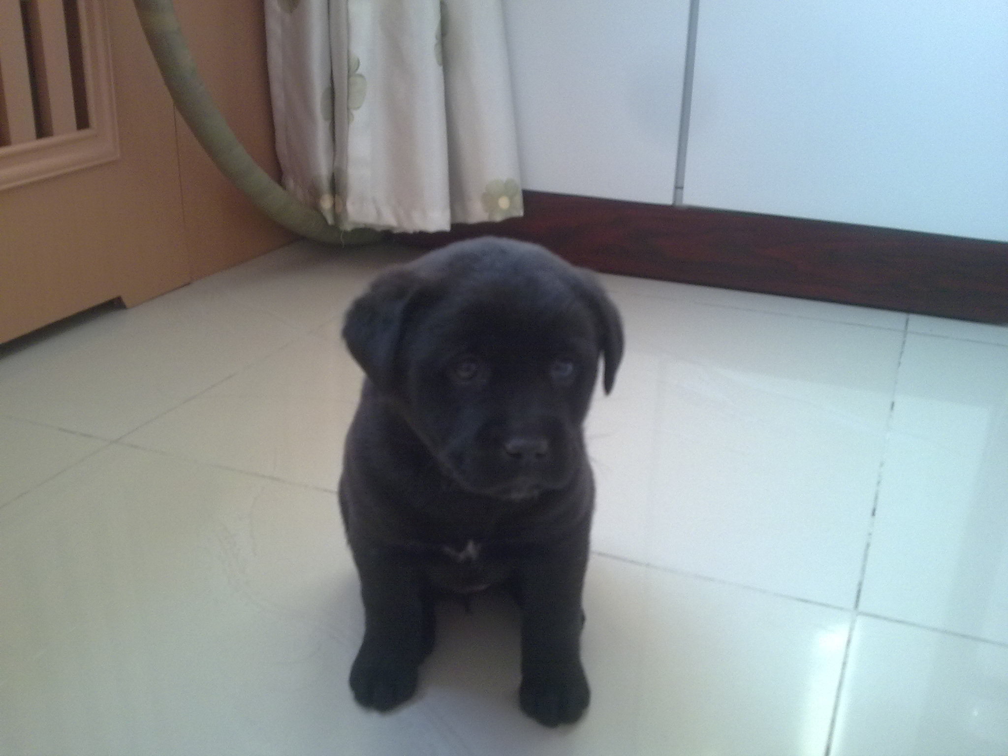 04122011610.jpg