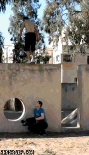 5.gif