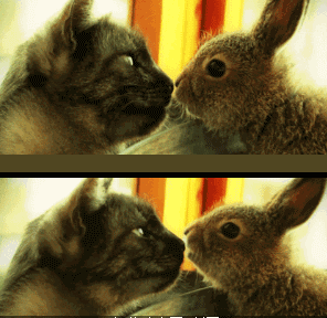 08.gif