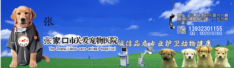 QQ截图20120513164359_副本.gif