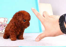 QQ截图20120228215527.png