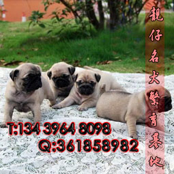 80f88af8e2023a0ba20a3c09c6b3fe42.jpg