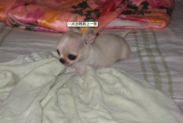 未命名.jpg