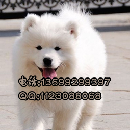 2011041822211118副本.jpg