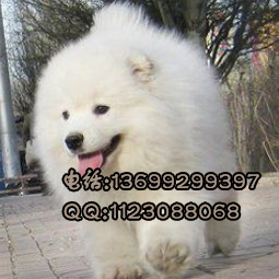 2012229104039870R3YL副本.jpg