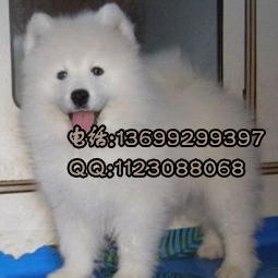 201090216314715840副本.jpg