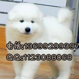 2012021752494993副本.jpg