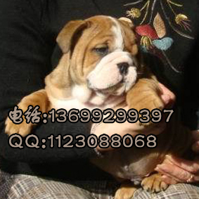 20090102_67e1a1cbc5dd7ea2a89aHBlOTy9EK6Ro.jpg