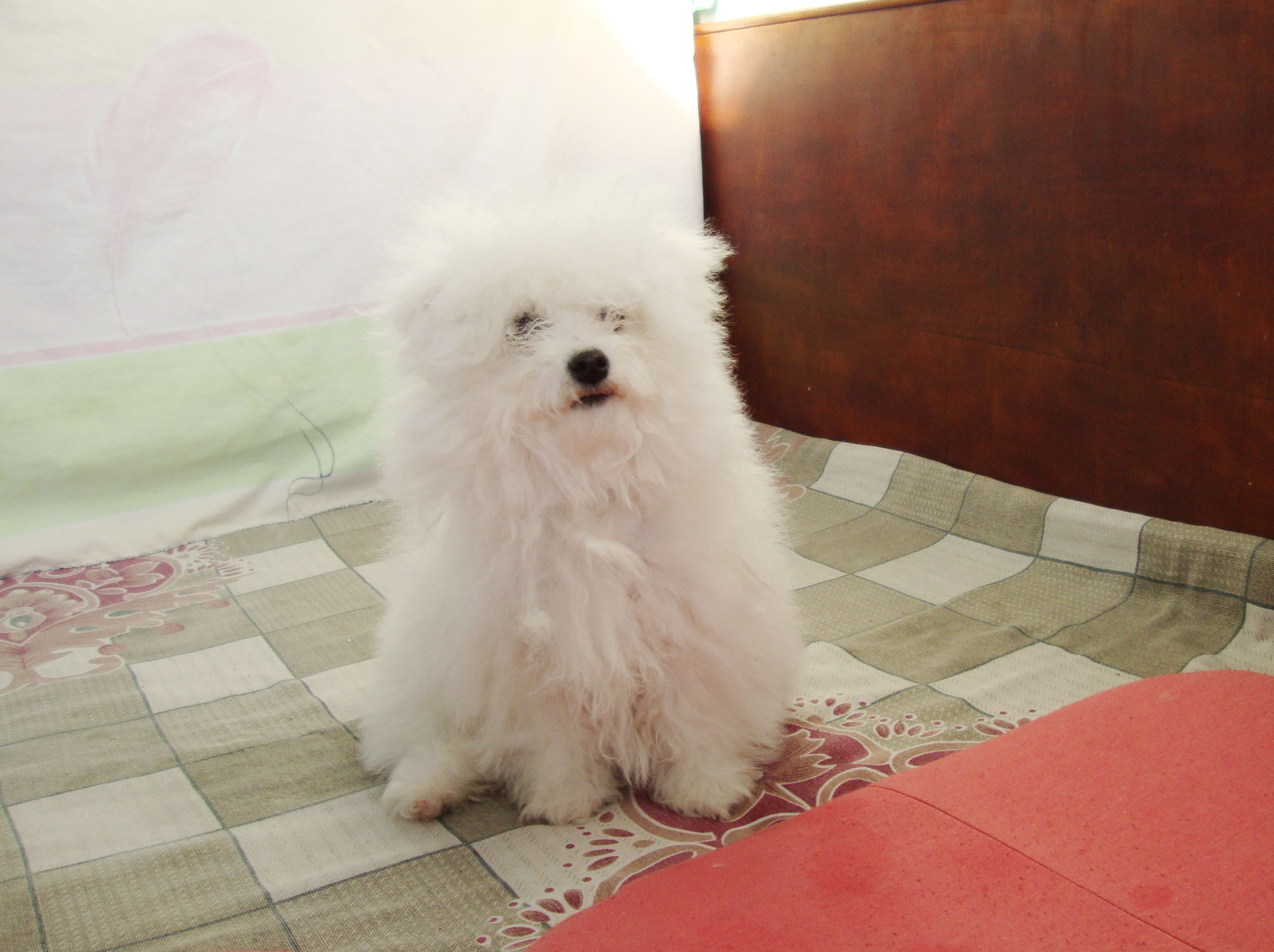 DSC06933.JPG