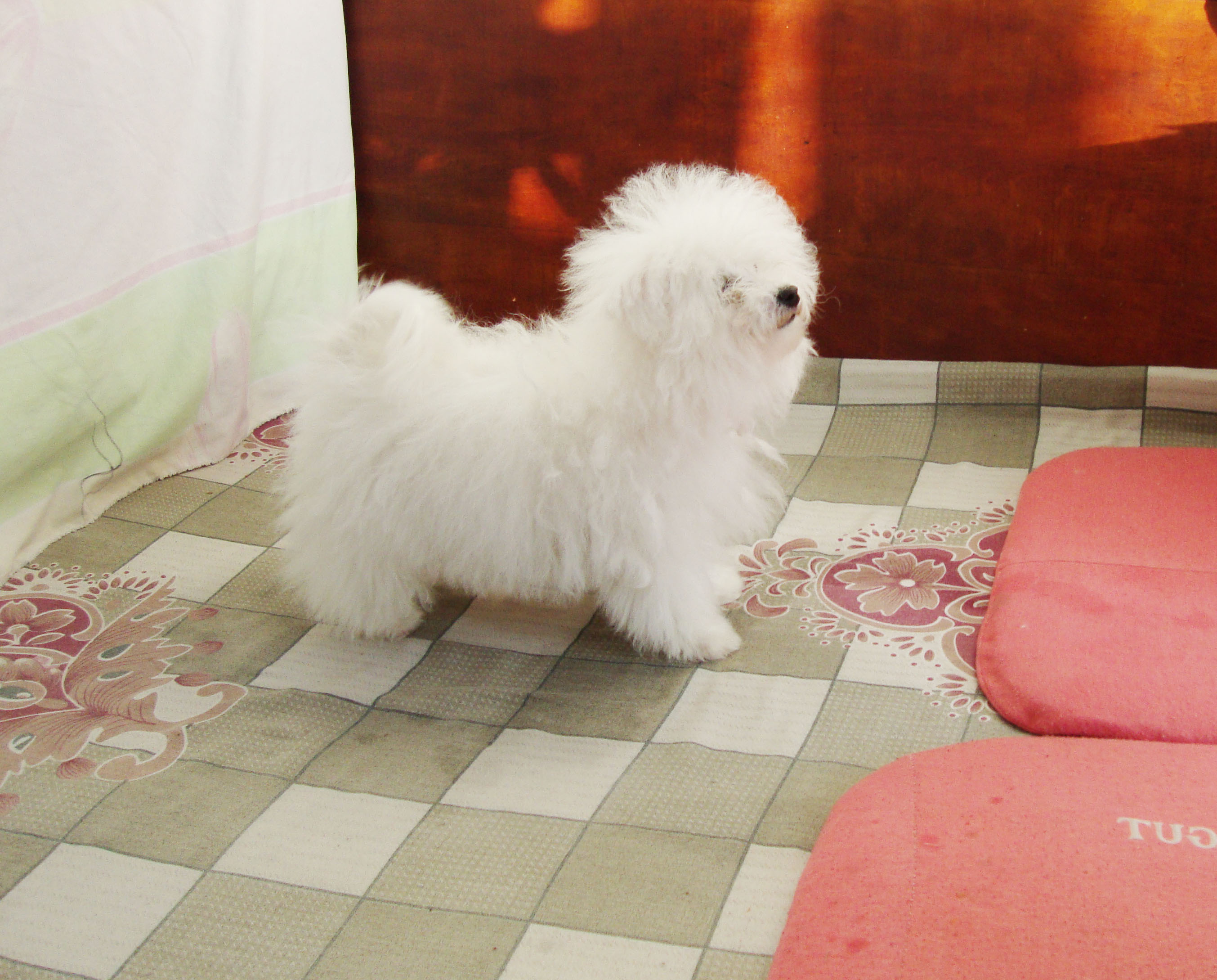 DSC06916.JPG