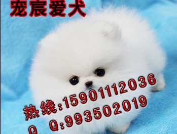 博2.jpg