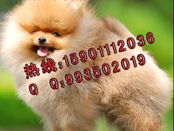 博10.jpg