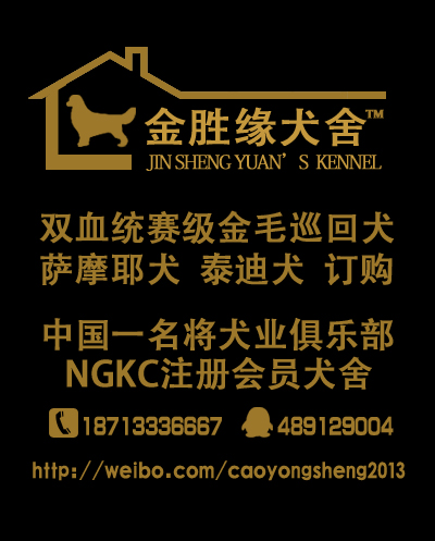 金胜缘犬舍