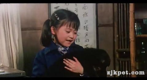 流浪到家的来福