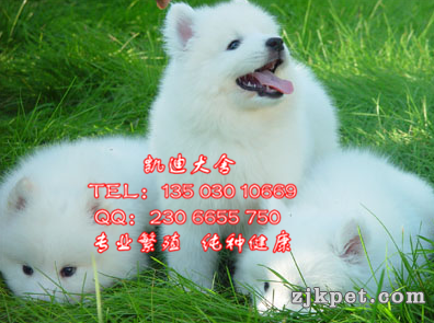 QQ截图20130430202308_副本.png