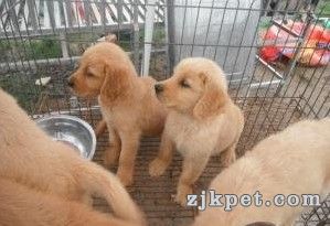 QQ截图20130409170142.jpg