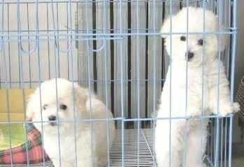 QQ截图20130401021526.jpg