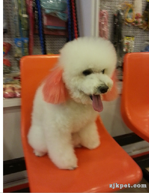 QQ截图20131104152713.png