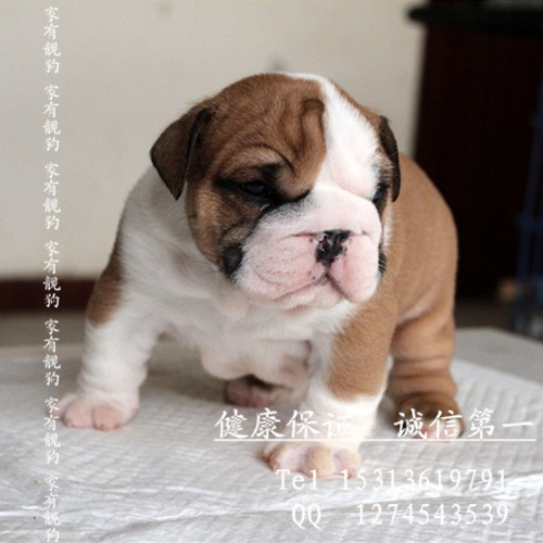 QQ图片20131130152250.jpg