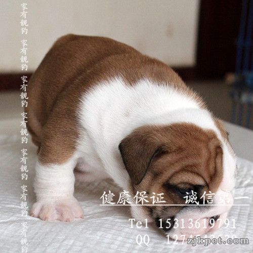 QQ图片20131130152254.jpg