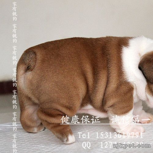 QQ图片20131130152257.jpg