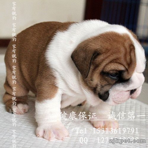 QQ图片20131130152259.jpg
