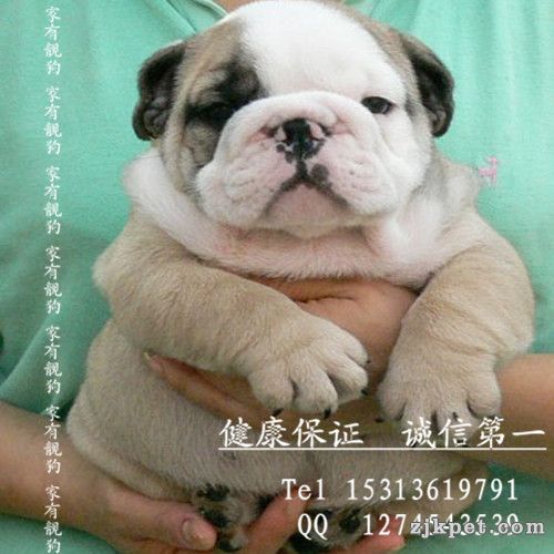 QQ图片20131130152442.jpg