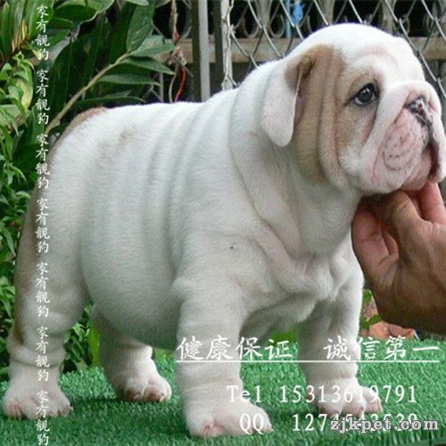 QQ图片20131130152457.jpg