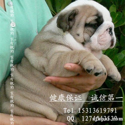 QQ图片20131130152446.jpg