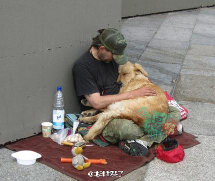如果你是穷人，一个女人可能会离开你，但狗会永远无条件爱你，不管你是富人还是穷人！好感人！好想哭！好… ...
