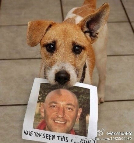 这恐怕是最让人伤感的寻人启事了。
