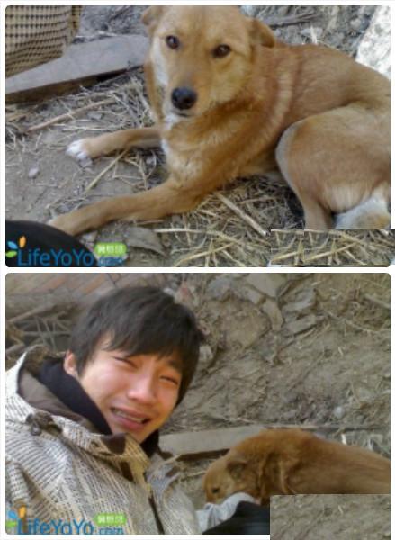 北京网友元宵节找回爱犬。"狗03年养的。从巴掌大一直养了两年多，遛弯时走丢，从此七年没养过宠物。今天，  ...