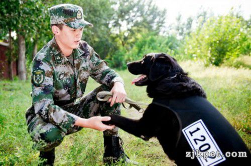 孙3.jpg