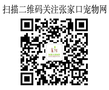 关注微信二维码图片.jpg