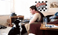 mmexport1408096475795.gif