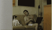mmexport1408096484634.gif
