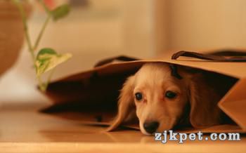 u=3779654652,187640916&amp;fm=23&amp;gp=0.jpg