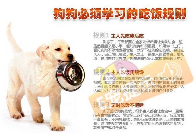 规则2.jpg