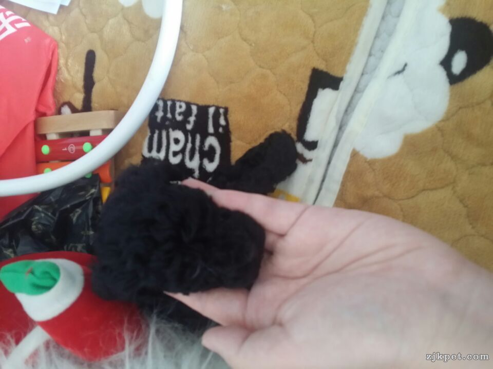 QQ图片20150317173608.jpg