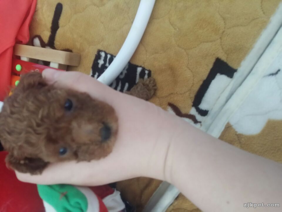 QQ图片20150317173622.jpg