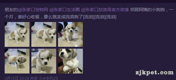 QQ截图20150317181427.png