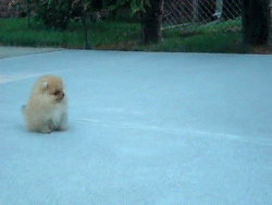 b0cb01d6jw1eqa08tc1dgg206y058e43.gif