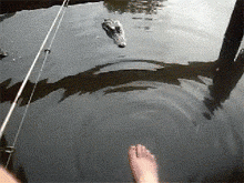 6e7905a7gw1eqk23jk138g206404l4qp.gif