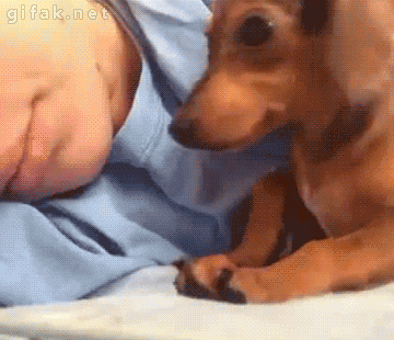 b0cb01d6jw1eqkesnffneg20a008m000.gif