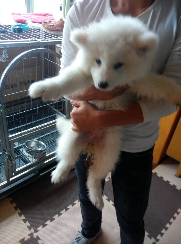 QQ图片20150513205351.jpg