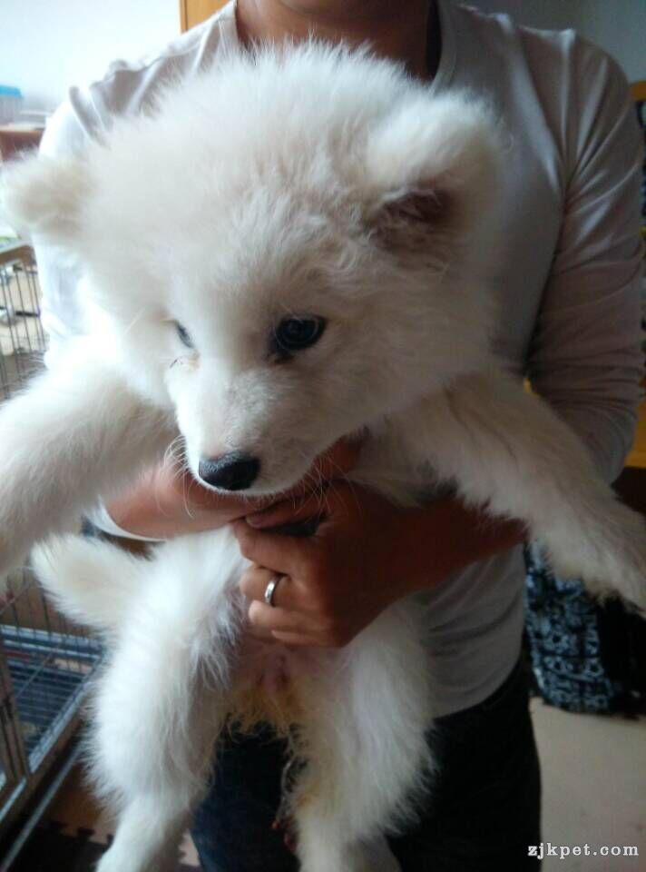 QQ图片20150513205359.jpg
