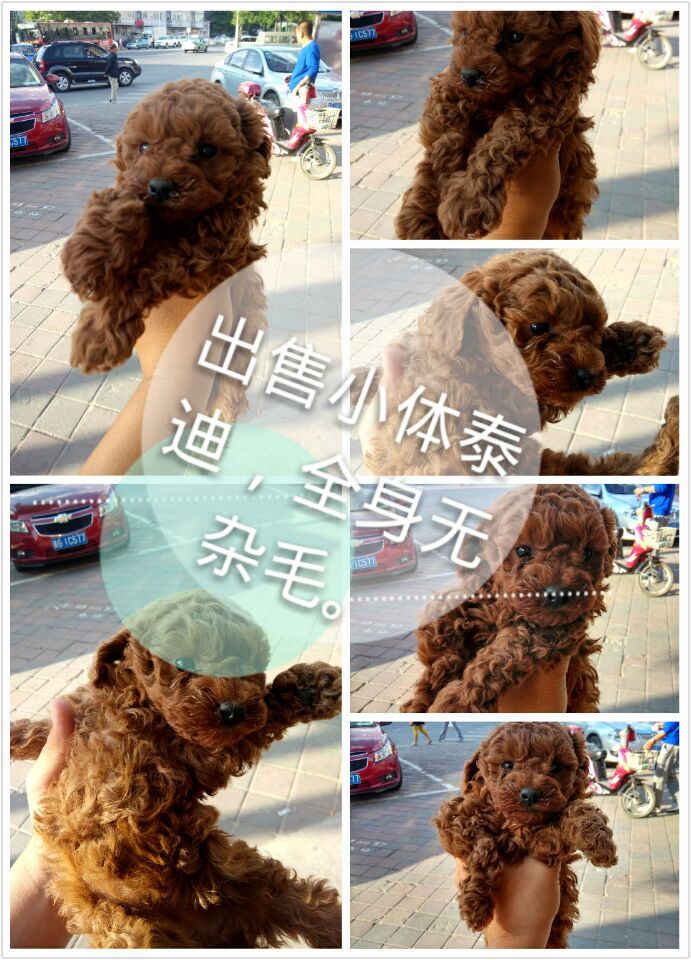 QQ图片20150524103223.jpg