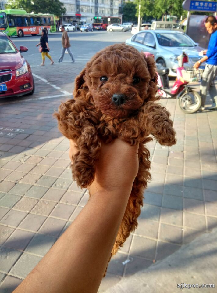 QQ图片20150524103214.jpg